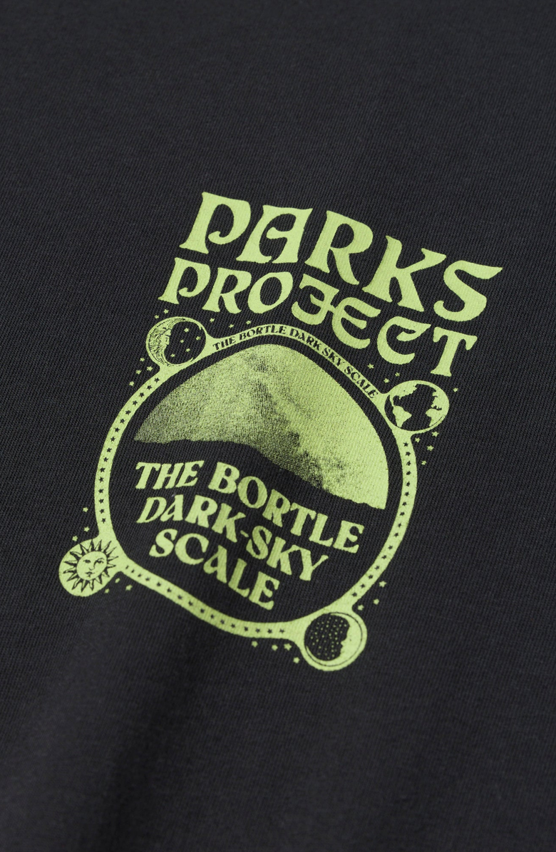 Parks Project Dark Sky Scale Tee, Alternate, color, Vintage Black