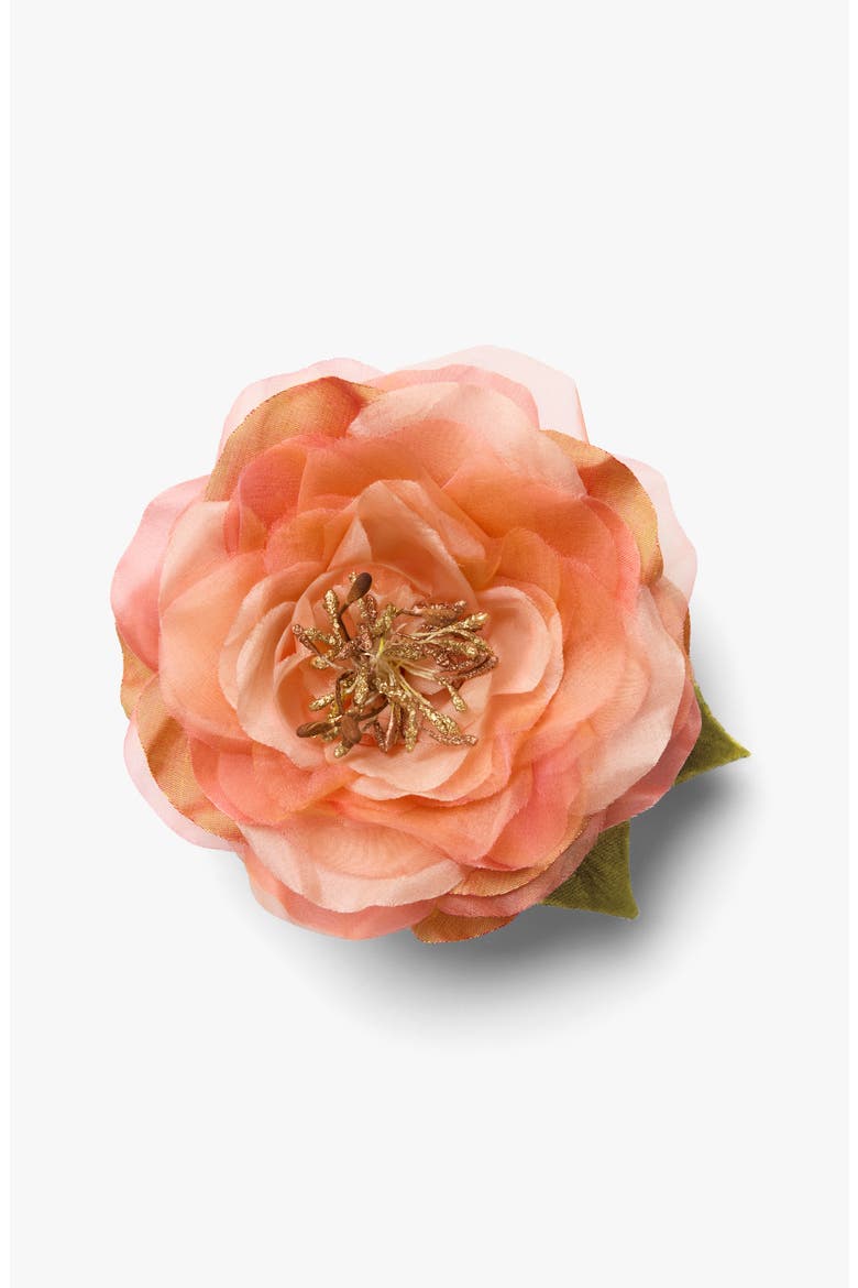 The Peach Open Rose Floral Brooch, Main, color, Peach