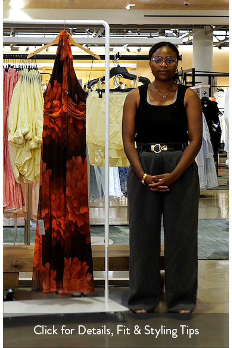 Elera Print Halter Mesh Maxi Dress video