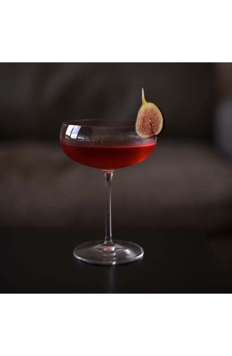 Luigi Bormioli Talismano Set of 4 Old Martini Glasses, Alternate, color, Clear