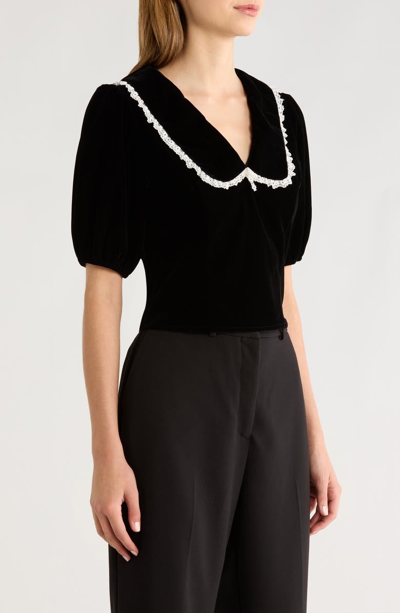 All in Favor Velvet Embroidered Peter Pan Collar Crop Top, Alternate, color, Black