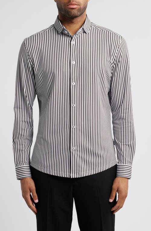 Stone Rose Bengal Stripe Techno Stretch Performance Button-Up Shirt in Dark Brown 