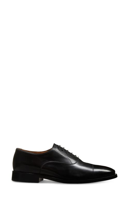Allen Edmonds Siena Clean Cap Toe Oxford In Animal Print
