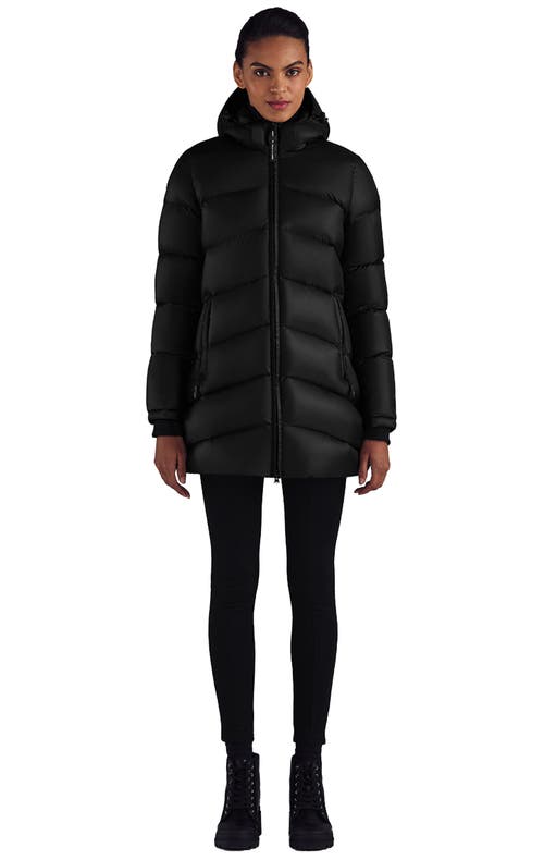 Triple F.a.t. Goose Puffer Down Parka In Black
