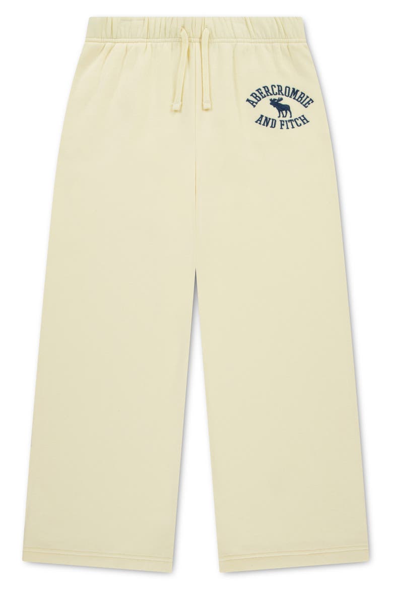 Kids' Baggy Fleece Pants, Main, color, FLAN