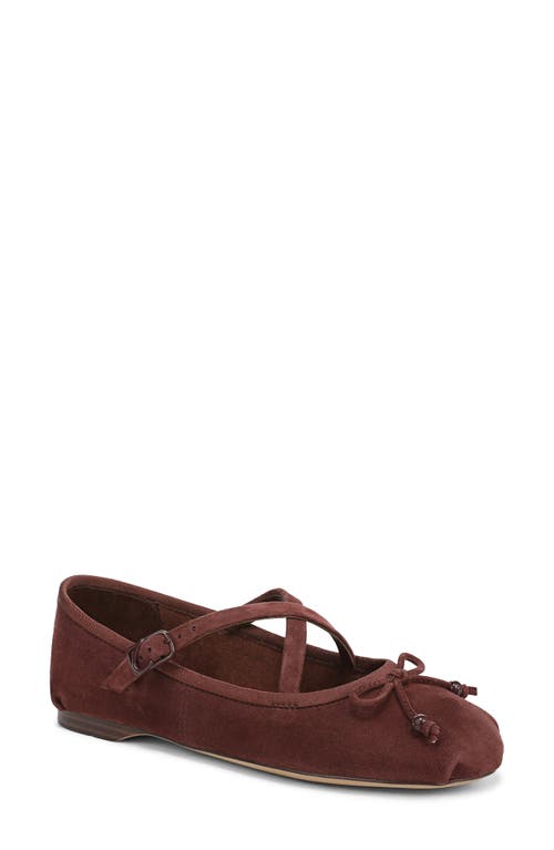 Circus Ny By Sam Edelman Zuri Strappy Ballet Flat In Brown