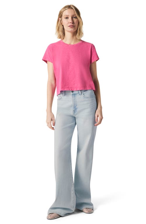 Splendid Lousia Short Sleeve T-shirt In Lilac Rose