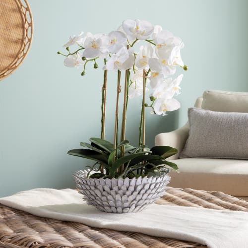 Napa Home & Garden Serena Decorative Bowl In White