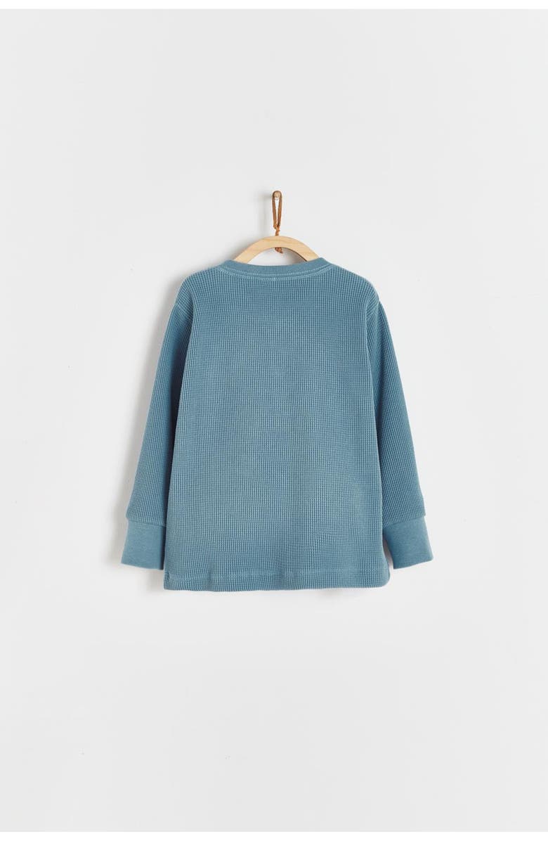 Babycottons Sweatshirt Waffle for Infant, Alternate, color,