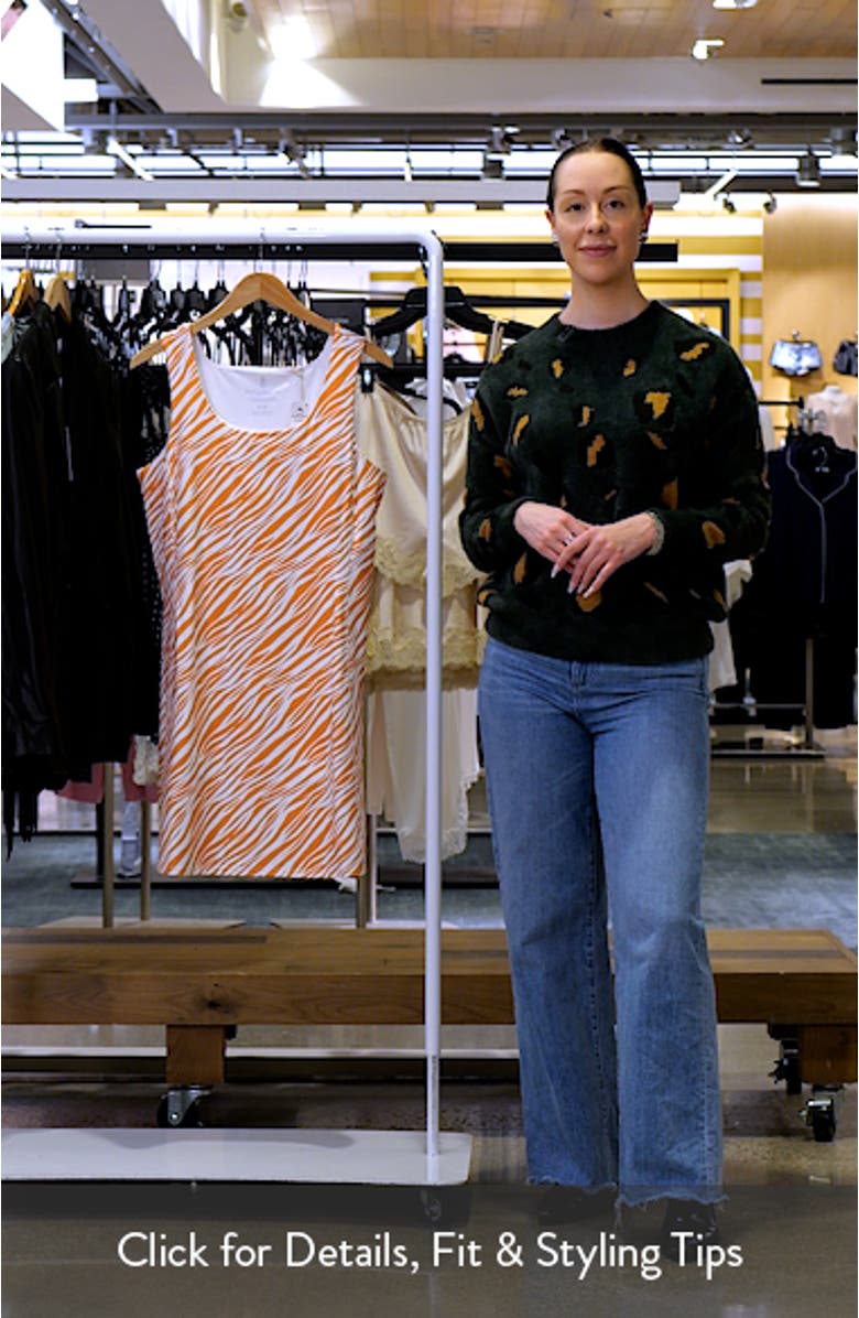 Abby Coastal Zebra Minidress, sales video thumbnail