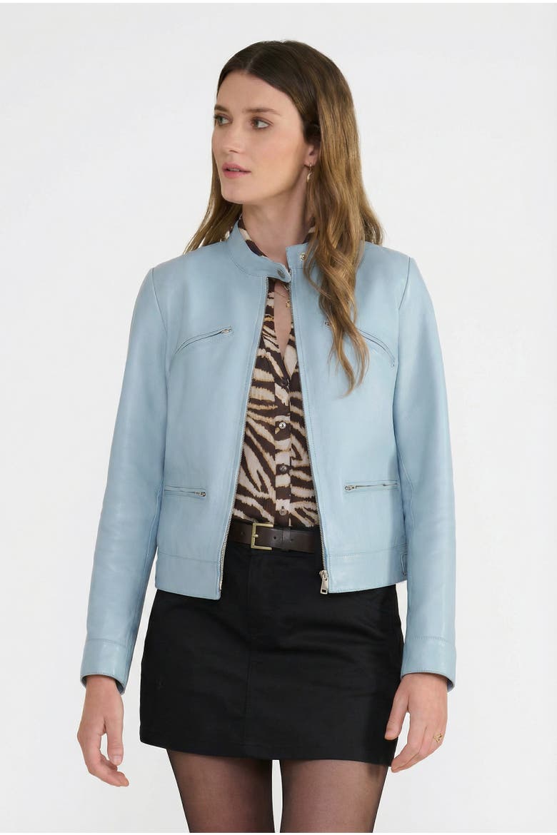 Blair Leather Jacket, Alternate, color, Blue