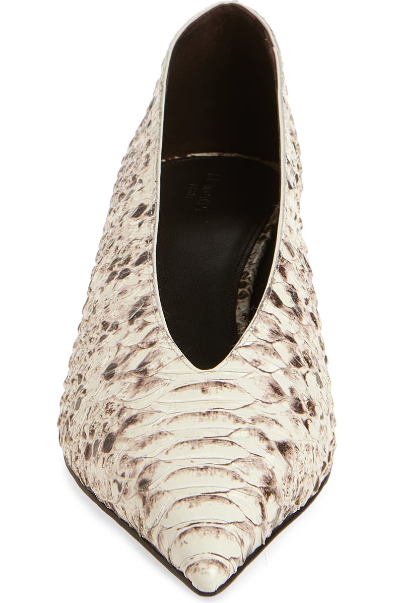 Le Monde Béryl Babouche Kitten Heel Pointed Toe Pump, Alternate, color, Roccia