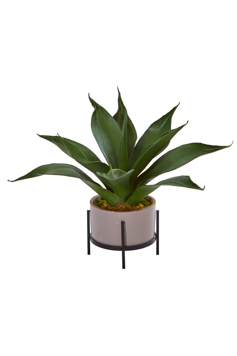 14-in Agave Succulent in Decorative Planter, Main, color, Green