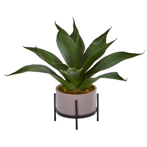 14-in Agave Succulent in Decorative Planter