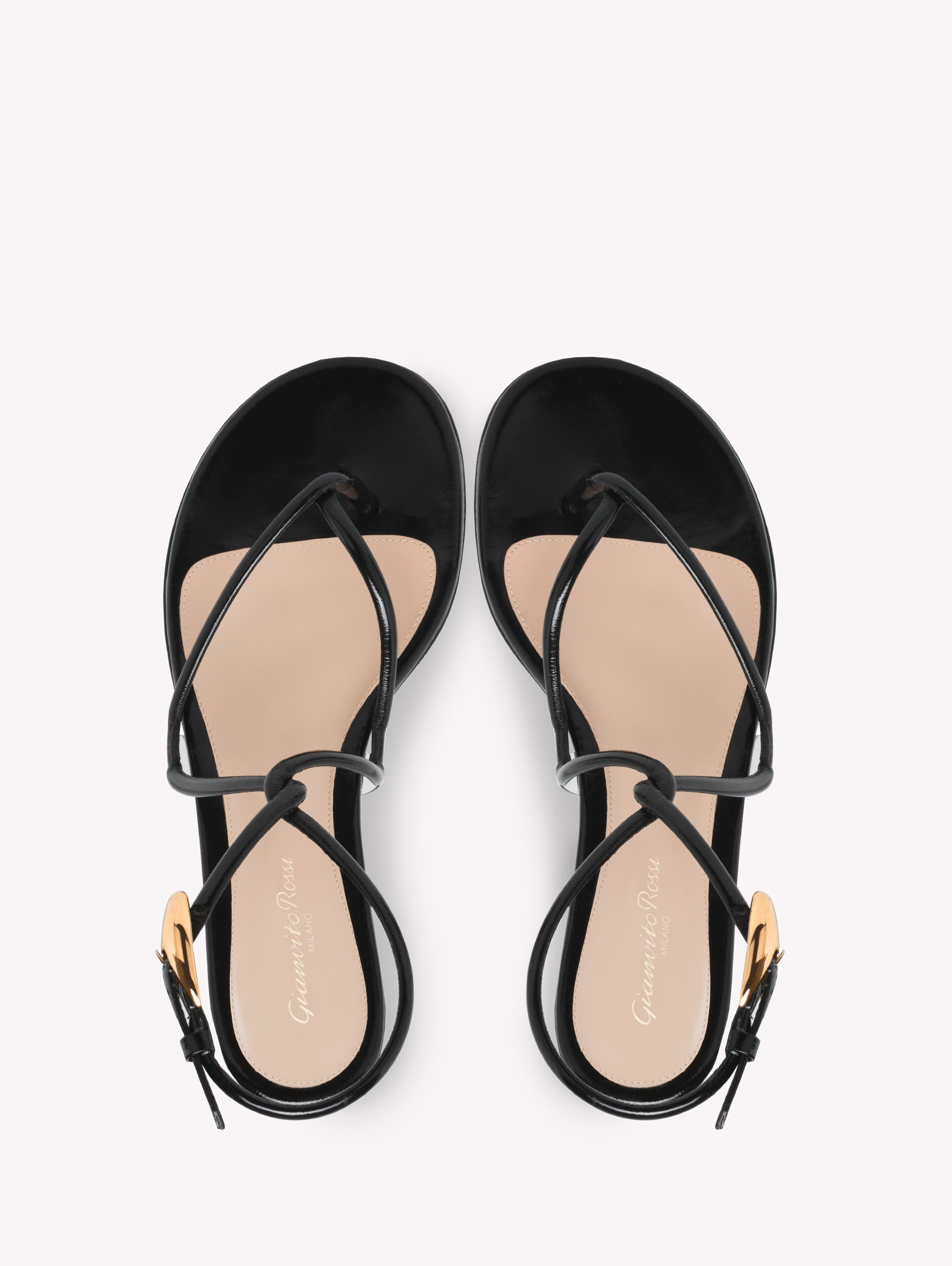 Gianvito Rossi Jungle Mamba Flat Sandals, Alternate, color, Black