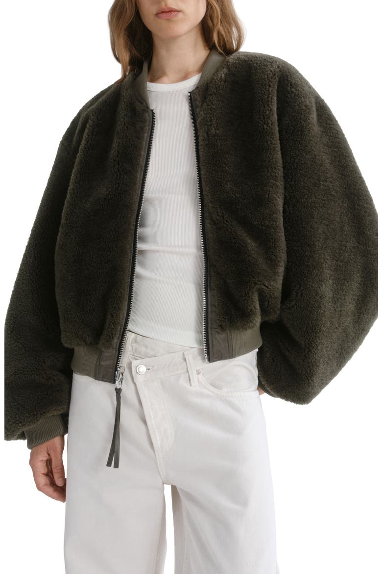 Frankie Reversible Bomber Jacket, Alternate, color, FERN