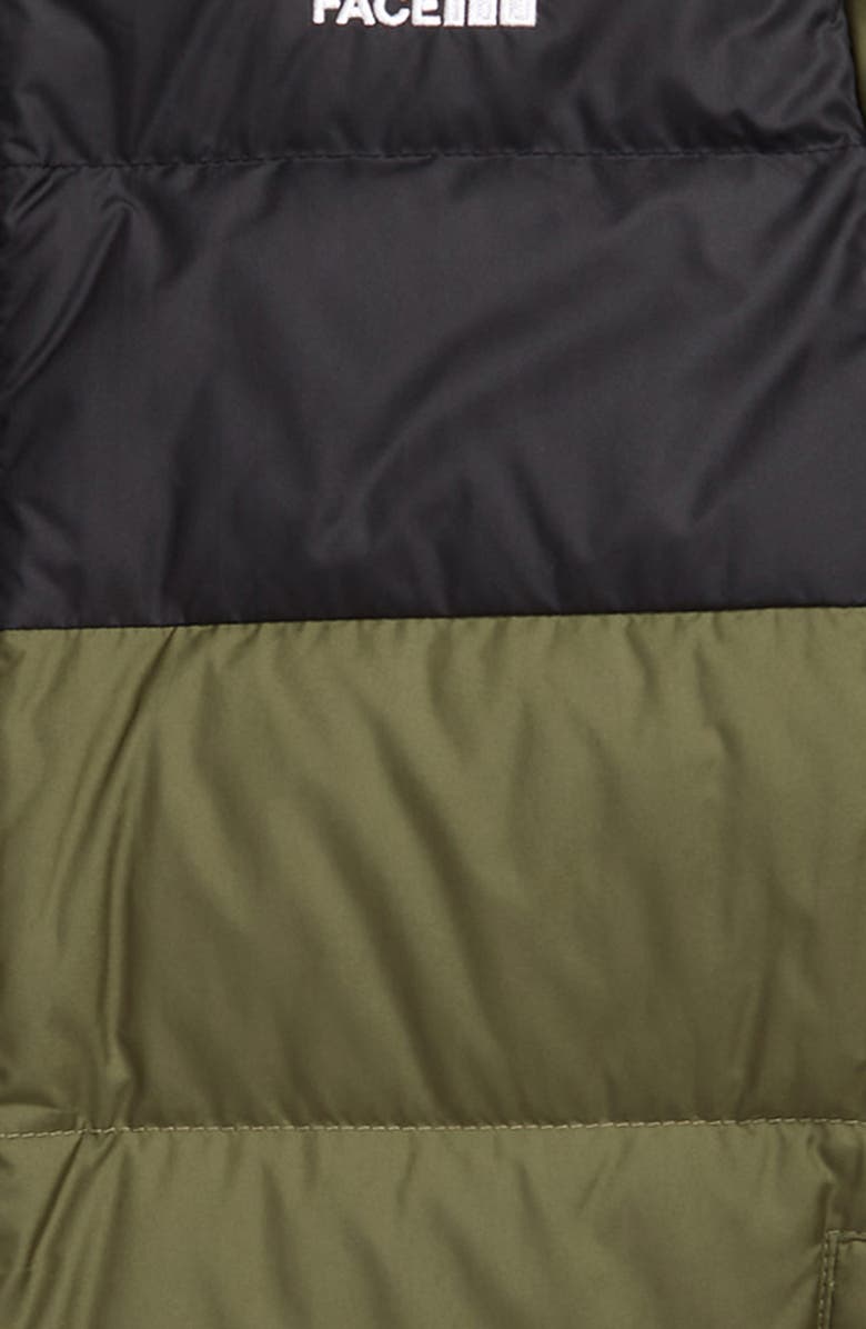 The North Face Kids' Moondoggy 550-Fill Down Jacket, Alternate, color, 