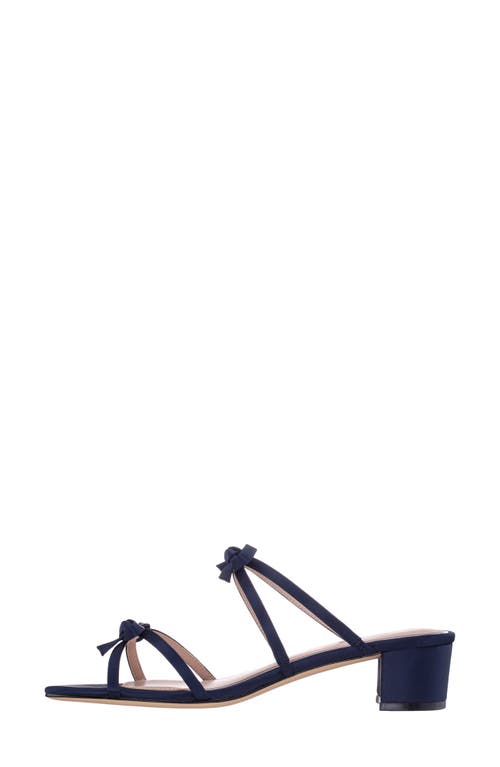 Nina Gaby Slide Sandal In New Navy