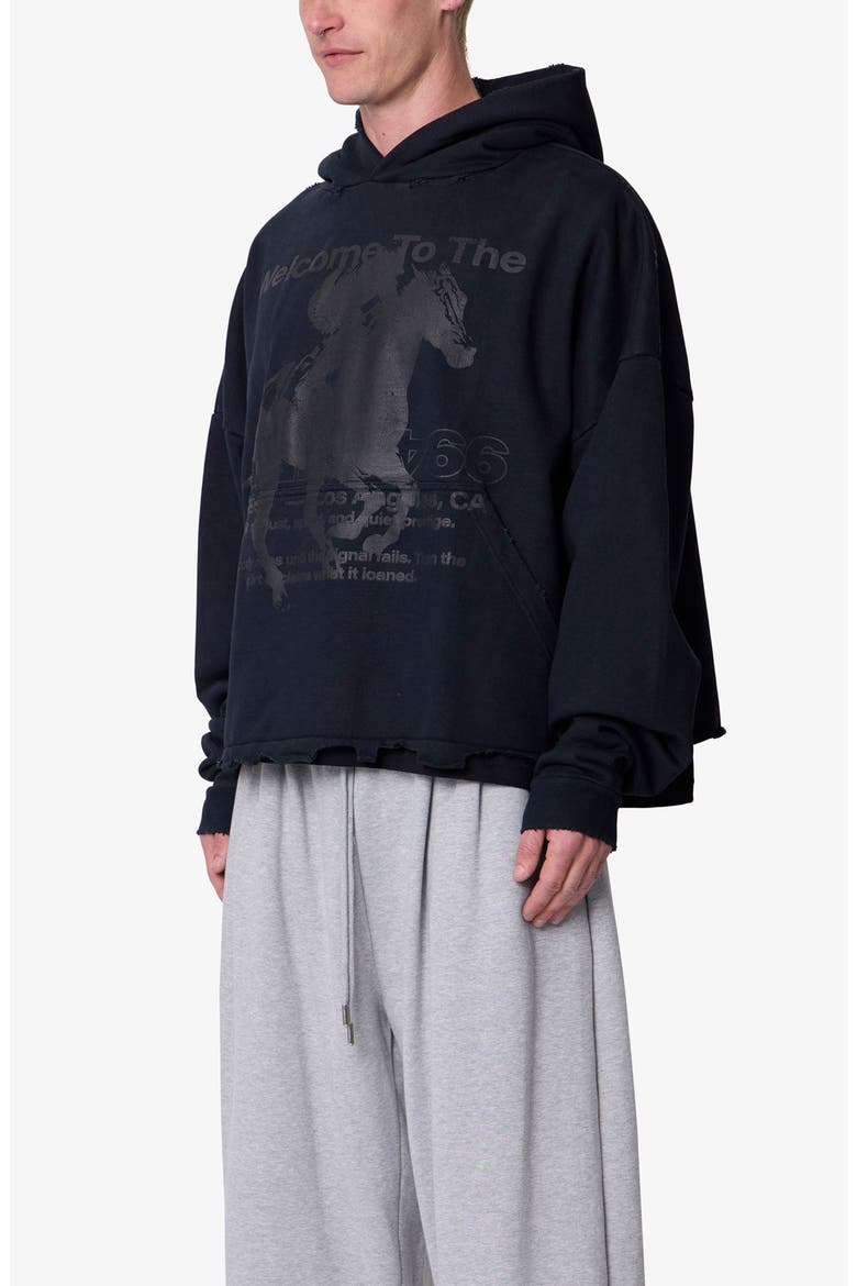 Moth Eaten Graphic Hoodie, Alternate, color, BLACK