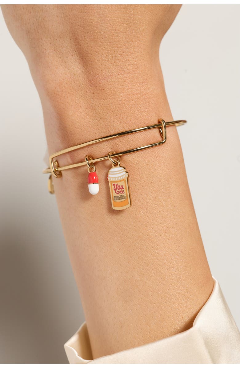 Alex and Ani 'You Are Indispensable' Pill Bottle Bangle, Alternate, color, Gold