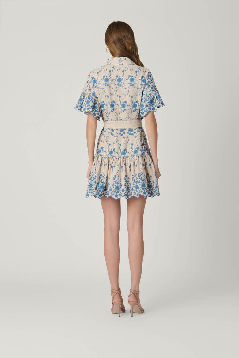 Lima Serra Embroidery Dress, Alternate, color, Flax/Powder Blue