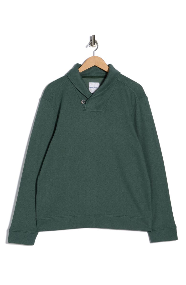 Tommy Bahama Deer Harbor Shawl Collar Cotton & Viscose Pullover, Alternate, color, Pine Islan