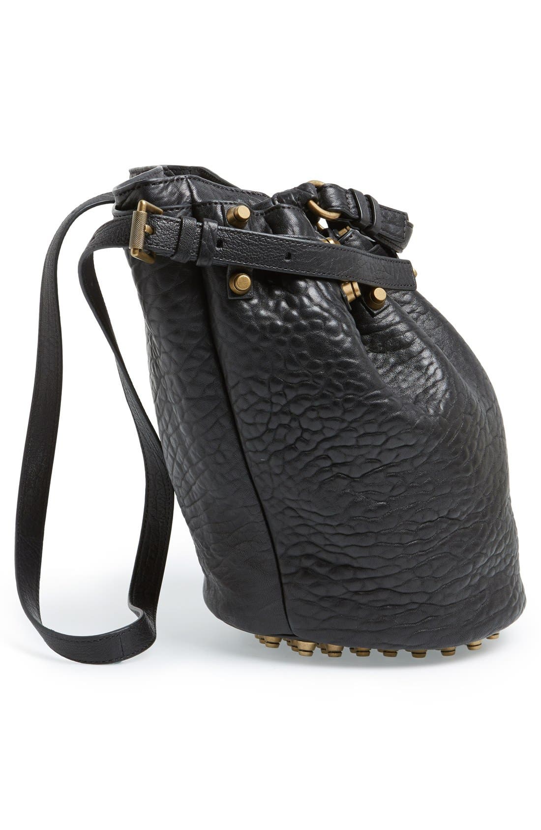 Alexander Wang 'Diego' Leather Bucket Bag, Alternate, color, 
