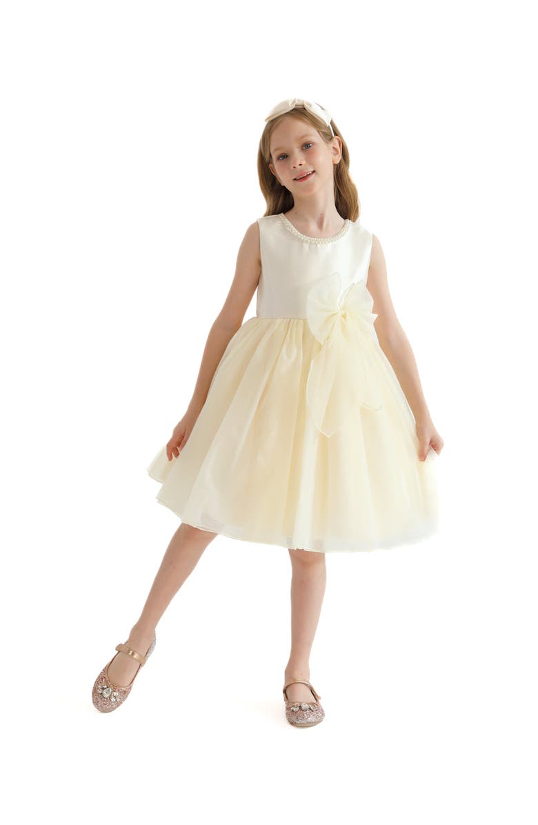 Tulleen Felice Dress, Alternate, color, Champagne