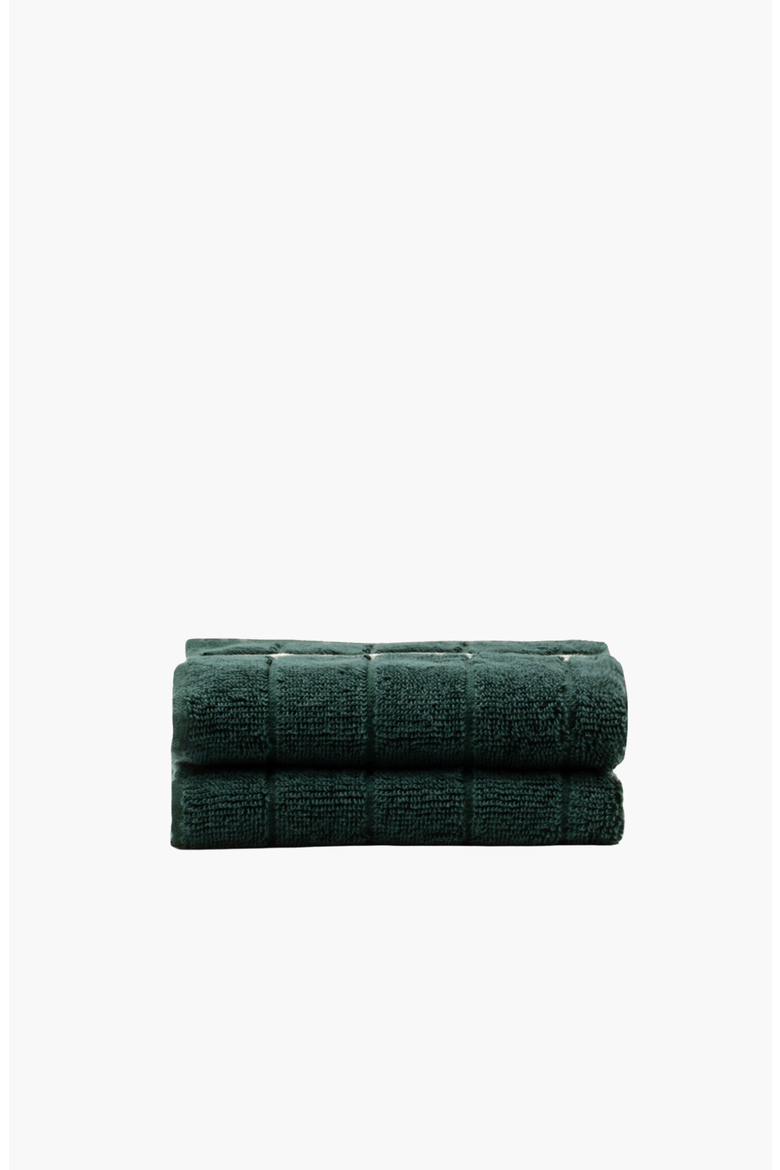 Nautilus 2-Piece Washcloth Set, Main, color, Verdant & Ecru