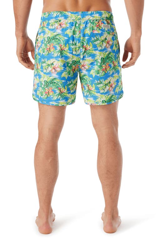 Fair Harbor Anchor Water Repellent Swim Trunks In Multi