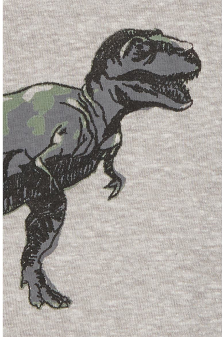 Kids' Graphic T-Shirt, Alternate, color, GREY ALLOY HEATHER TREX