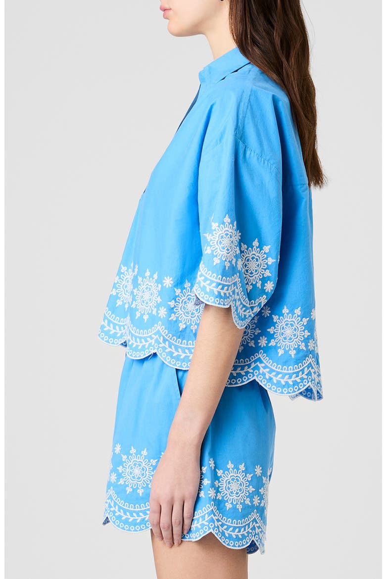Alissa Embroidered Cotton Top, Alternate, color, POOLSIDE BLUE-WHITE