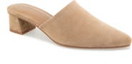 Splendid Lorelei Mule