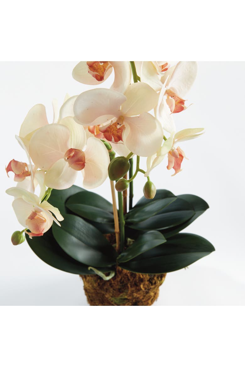Phalaenopsis Orchid Artificial Plant Drop-In, Alternate, color, Pink