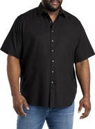 Robert Graham DXL Luther Sport Shirt