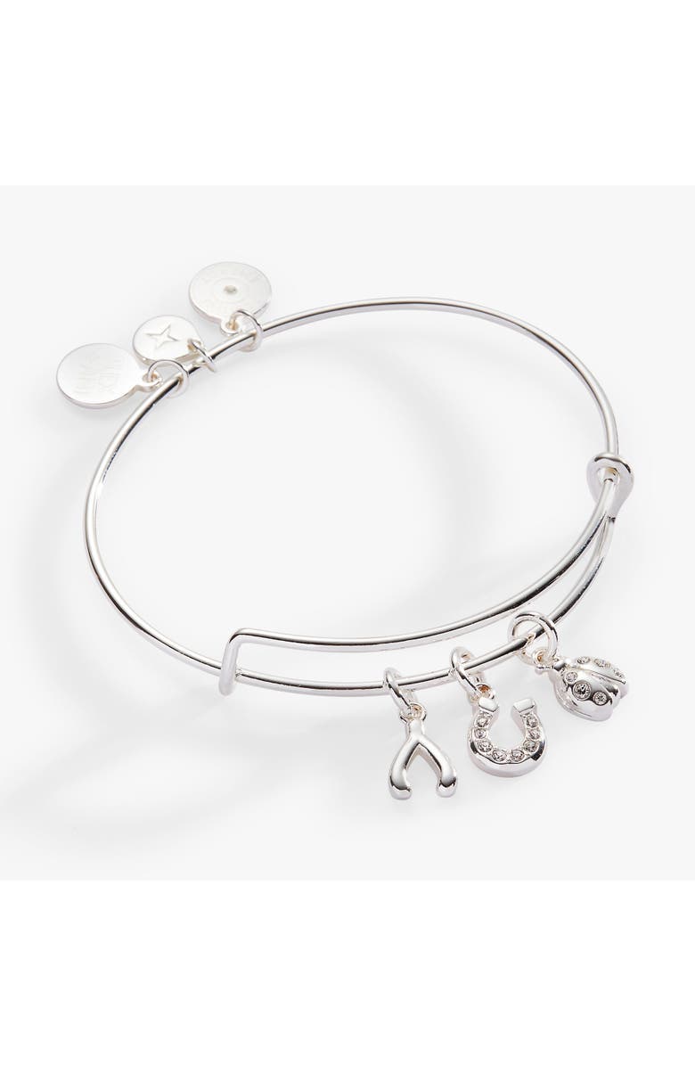Alex and Ani Love and Luck Multi Charm Bangle Bracelet, Main, color, Silver
