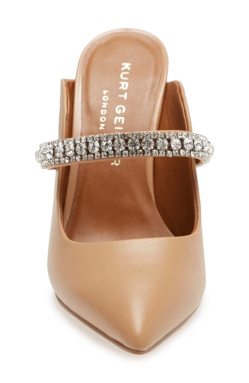 Kurt Geiger London Duke Crystal Strap Pointed Toe Mule In Brown