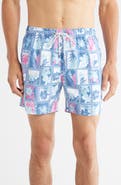 Vintage Summer Volley Swim Trunks