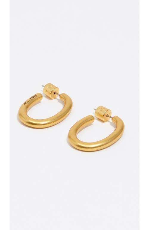 Bimba Y Lola Mattehoop Earrings In Gold
