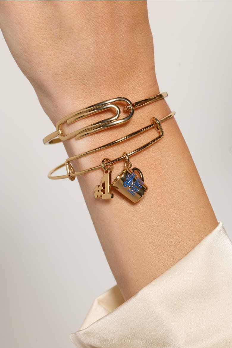 Thanks For Holding Us All Together' Paperclip Tension Bangle, Alternate, color, Gold