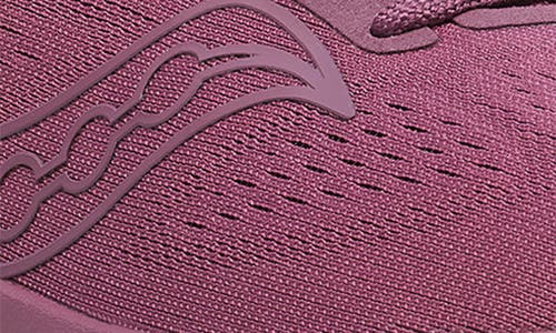 Saucony Echelon 10 Hybrid Running Shoe In Purple