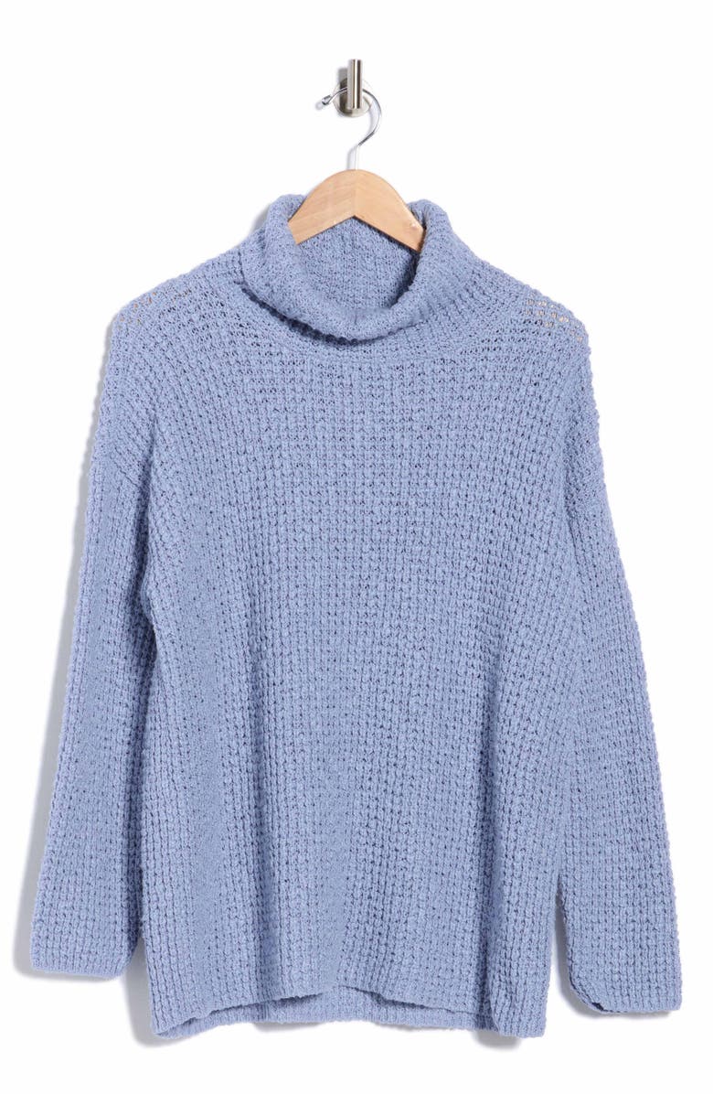 Eileen Fisher Organic Cotton Turtleneck Sweater, Alternate, color, 
