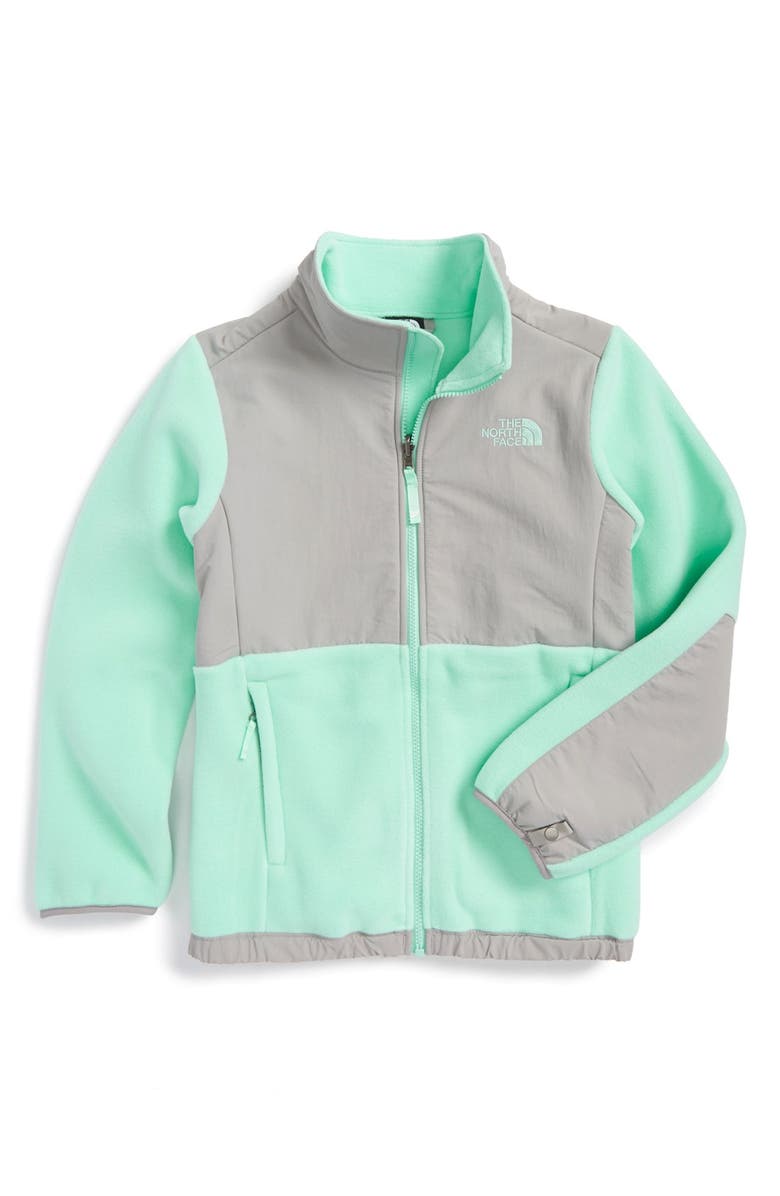 The North Face 'Denali' Recycled Fleece Jacket, Main, color,