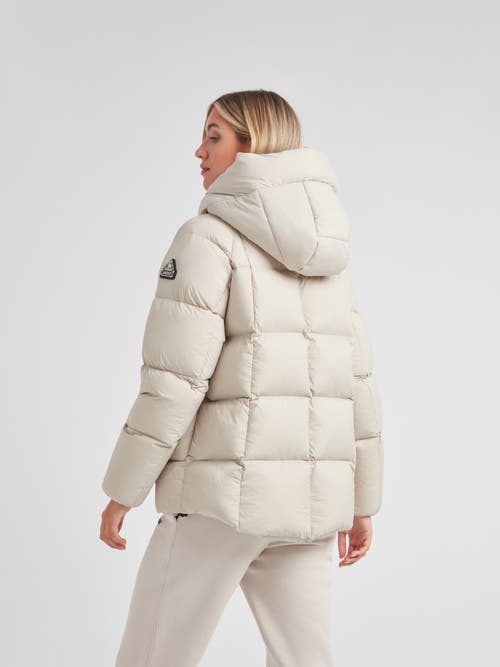Jack1t Cloud Prime Hooded Down Jacket In White