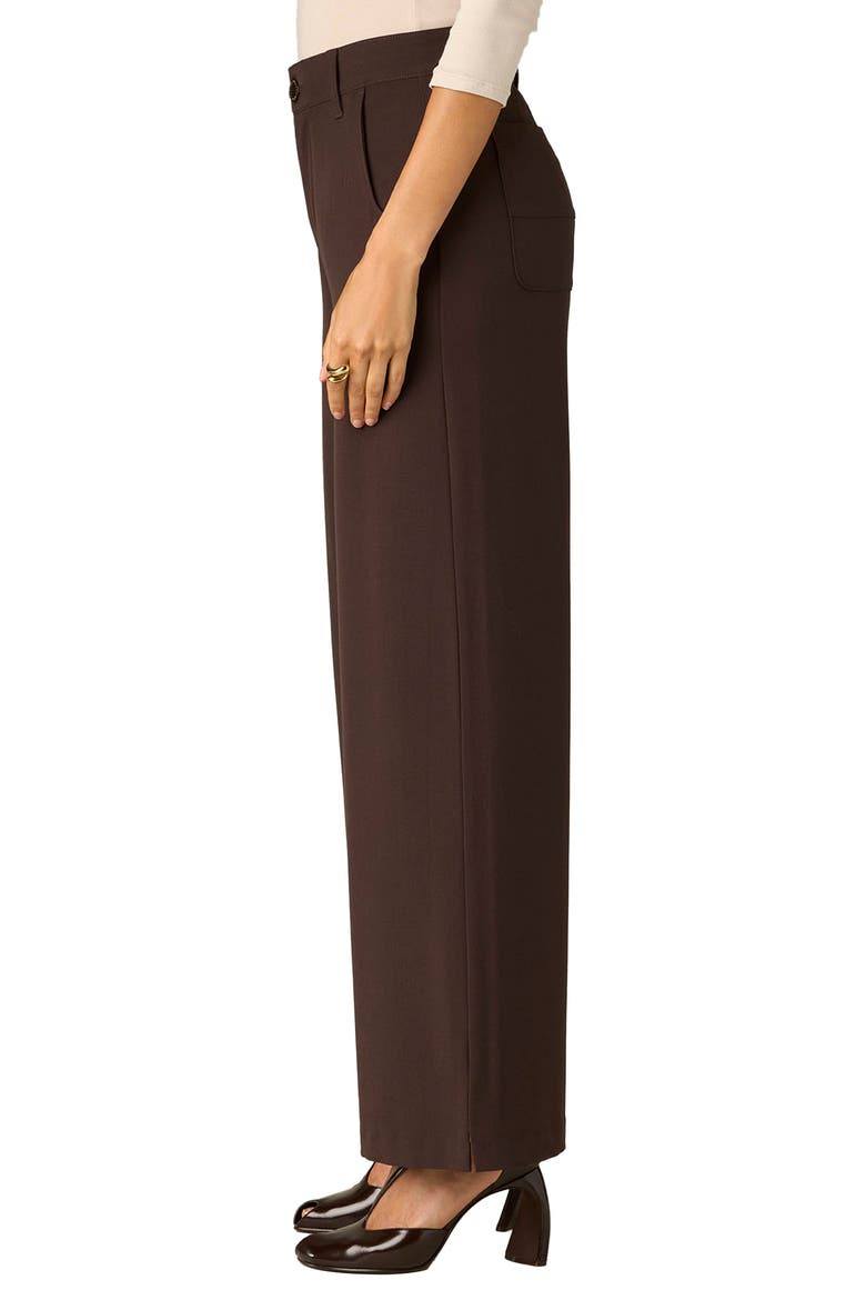 Whitney Skyrise Flat Front Wide Leg Pants, Alternate, color, BROWN