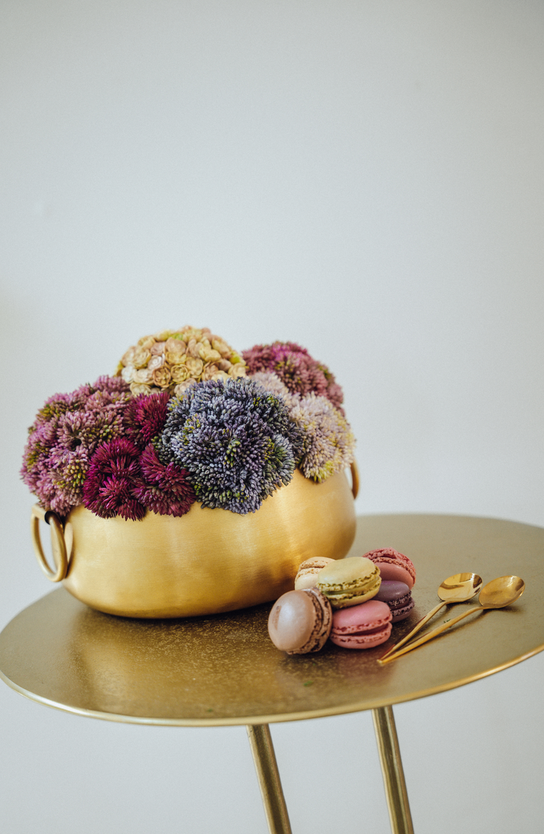 CocoBella Beatrix Gold Sedum Arrangement, Alternate, color, Multi-Color