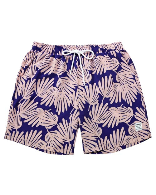 Mosmann Australia Board Shorts In Multi