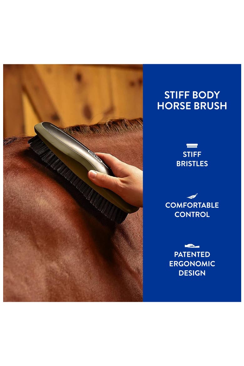 Equine grooming stiff body horse brush, Alternate, color, Black