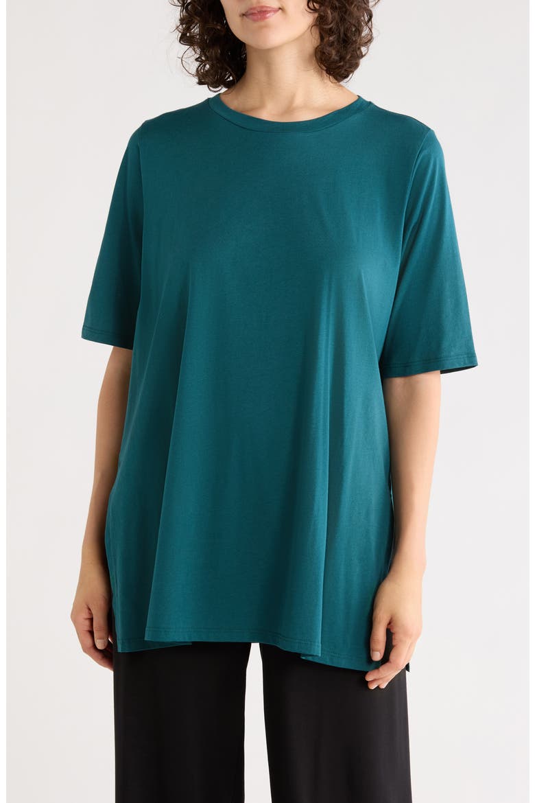 Organic Cotton T-Shirt, Main, color, AEGEAN