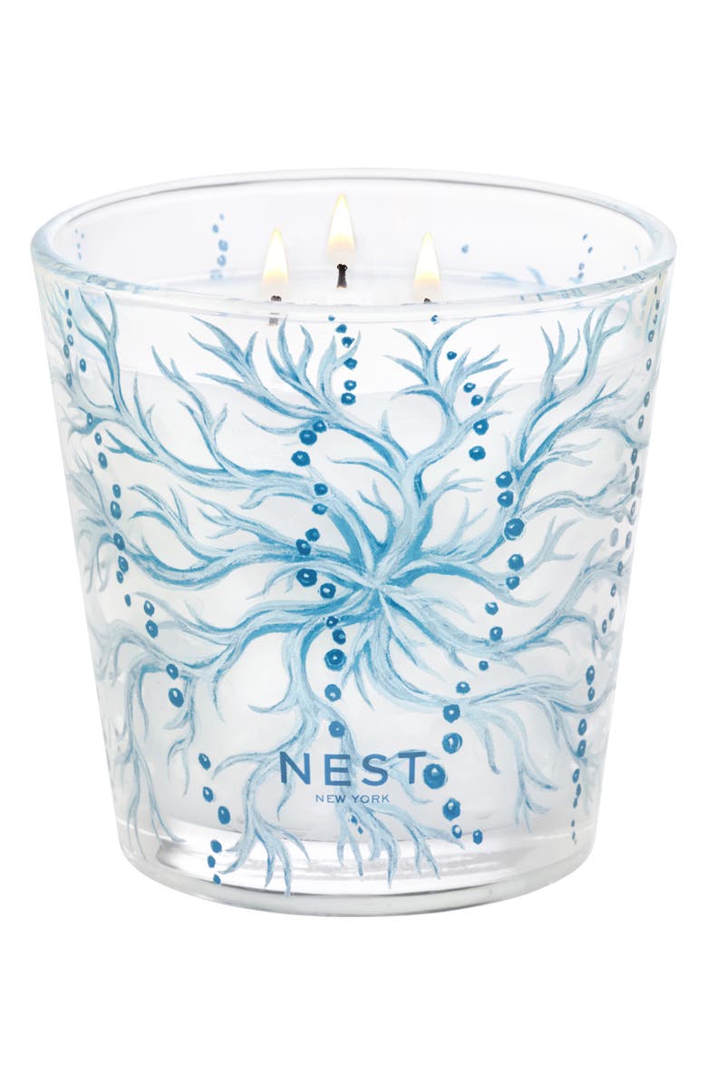 NEST New York Ocean Mist & Sea Salt Candle, Alternate, color,